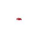 Pulse 5 cherry-masala | uniwersalny