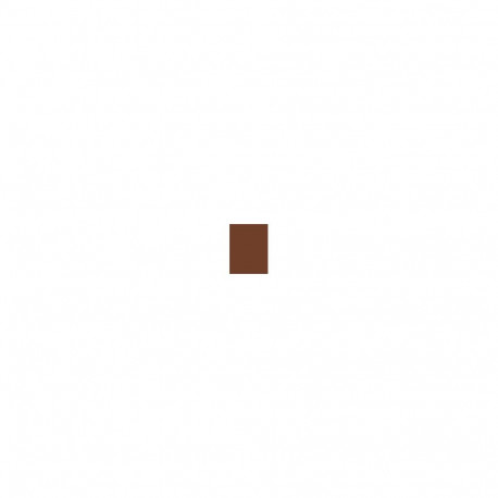 Erborian CC Water Fresh Complexion Gel Skin Perfector (15ml) (Chocolat)