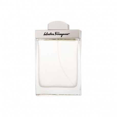 Ferragamo Pour Homme Eau de Toilette (100ml)