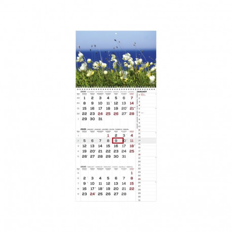 Seinakalender TRIO International pilt nr. 26 2026a.