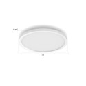 Philips Hue Surimu ümmargune paneelvalgusti, 39,5 cm | Bluetooth, Zigbee