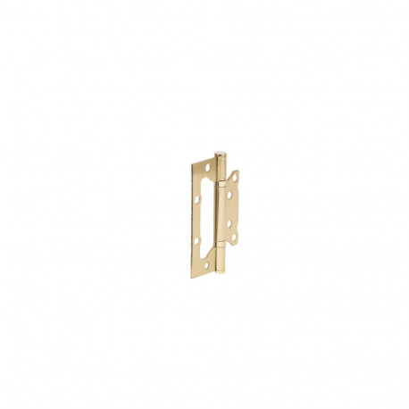 HINGE DOOR 100X63X2MM BRASS PLATED