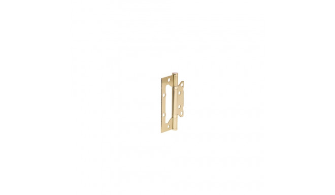 HINGE DOOR 100X63X2MM BRASS PLATED