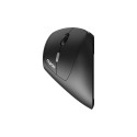 EV250.BLK Wireless Ergonomic Mouse