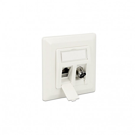Delock Keystone Wall Outlet 2 Port