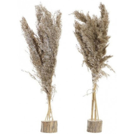 DKD Home Decor kunstlill 35x25x55cm