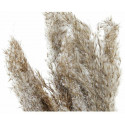 DKD Home Decor kunstlill 35x25x55cm