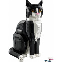 Blocks Ideas Tuxedo Cat