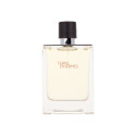 Hermes Terre d'Hermes Eau de Toilette (100ml)