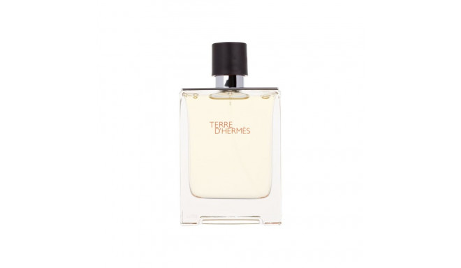 Hermes Terre d'Hermes Eau de Toilette (100ml)