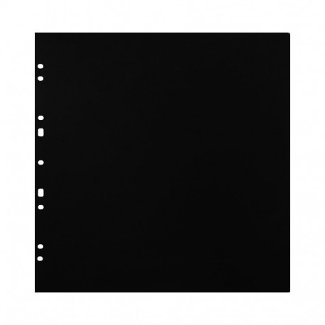 Focus Carton Refillsheets for Ringbinder Gigant Black 10-pack