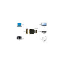 Gembird A-HDMI-DVI-2 cable gender changer Black