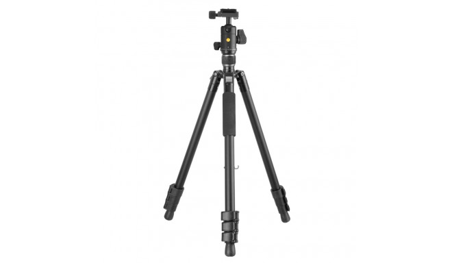 Vanguard Vesta GO 264AB
