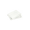 10 CARDBOARD PLATES 20X13CM WHITE