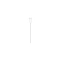 Apple MagSafe Charger (1 m)