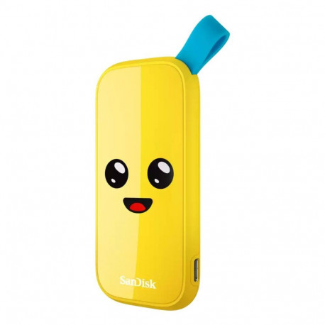 External SSD|SANDISK|2TB|USB 3.2|Read speed 800 MBytes/sec|SDSSDE30-2T00-G25F