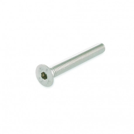 pesa kruvi M 6x30 A2-70 DIN7991/ 4 tk