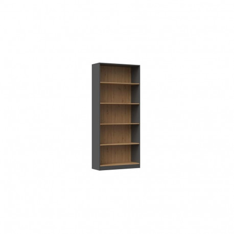 Topeshop R80 ANT/ART office bookcase