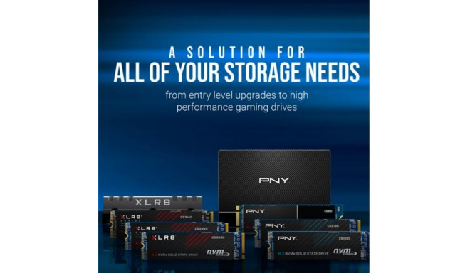 PNY SSD 1TB M.2 CS1030 M280CS1030-1TB-RB