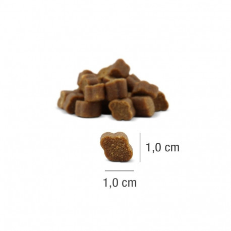 Pet Treat - PLATINUM Fit-Bits Detox Chicken Flavor 150g