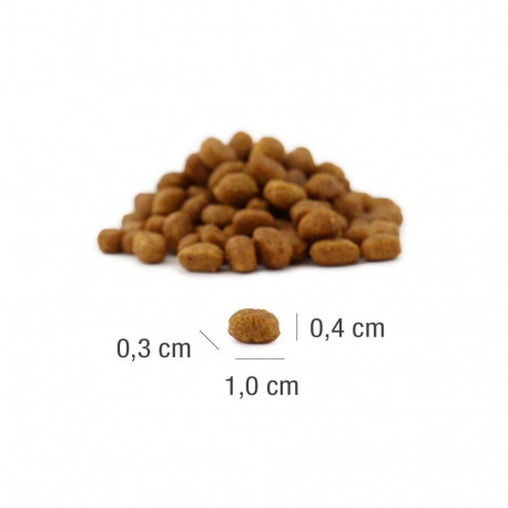 Cat Food - PLATINUM MeatCrisp Kitten Fish 40% Protein 3kg