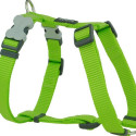 Dog Harness Red Dingo Smooth 60-109 cm Lime