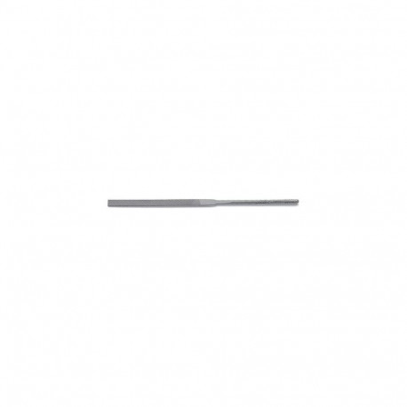 Dick 21122010 file/rasp