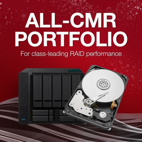 IronWolf Pro nas-ketas 20TB CMR SATA 6Gb/s 3,5"