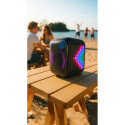 Blaupunkt PB6LED Portable / party speaker black