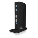 ICY BOX IB-DK2252AC DisplayLink sülearvuti dokk