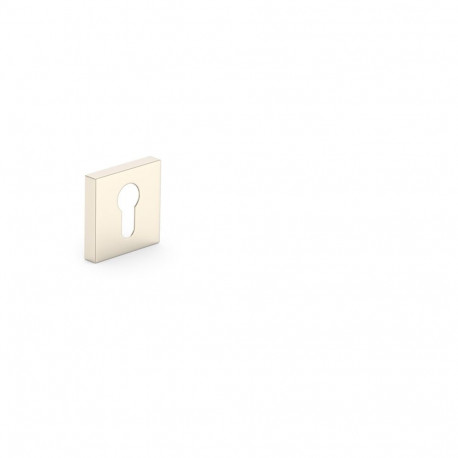 silindri võtmeplaat satiinnikkel