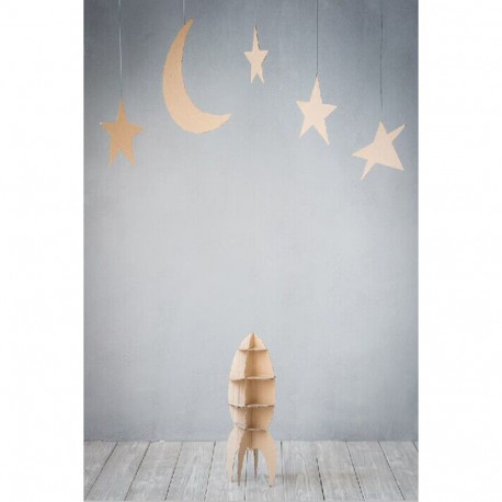 StudioKing Background Cloth RSG1 2x3m with Print