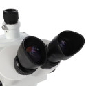 Byomic Stereo Microscope BYO-ST341 LED