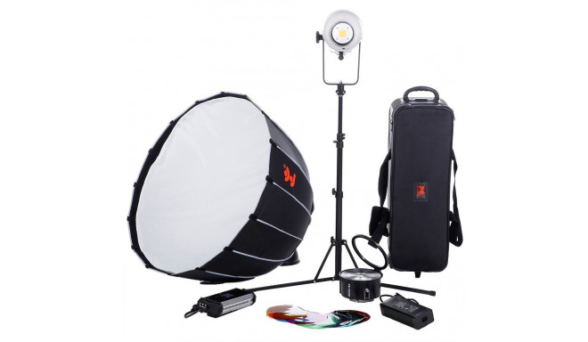 Falcon Eyes Bi-Color LED Lamp Kit Dimmable BL-30TD-K1