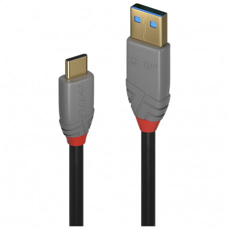 "LINDY USB 3.1 Kabel Typ A/C 5A PD Anthra Line M/M 1m"