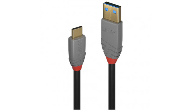 "LINDY USB 3.1 Kabel Typ A/C 5A PD Anthra Line M/M 1m"