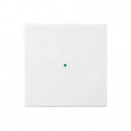 Busch Jaeger BJ 6230-10-84 1-osaline lülitiklahv stuudiovalge Busch-free@home