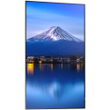 "Sharp MultiSync P656 Digital Signage Display 165 cm 65 Zoll"