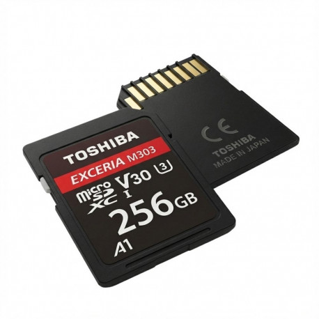 "CARD Toshiba SD Exceria R100 N203 256GB"