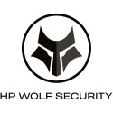 "G HP 2y Wolf Pro Security 100-499 E-LTU"