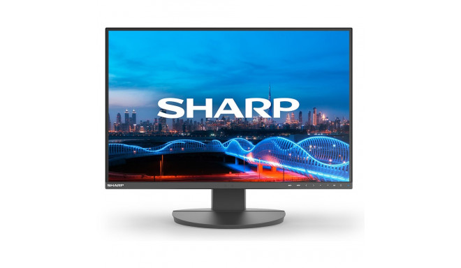 "MultiSync DD-EA241W Black"