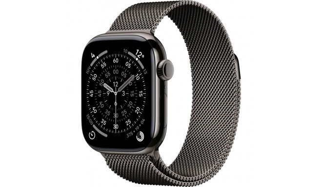 "Apple Watch S11 Titan Schiefer Cellular 42mm (Milanaise Armband schiefer)"