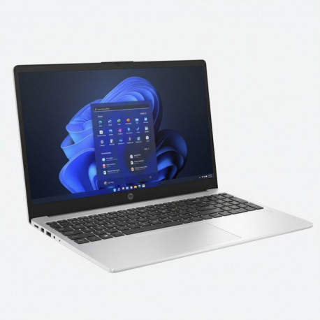 "HP 250 G10 Intel® Prozessor N100 Notebook 39.6cm (15.6 Zoll)"