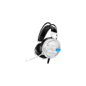 Baracuda BGH-031 Conch White