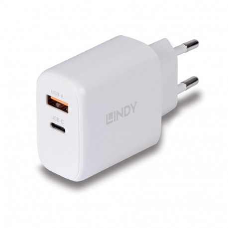 Charger - LINDY 65W USB Type A & C GaN Charger, White