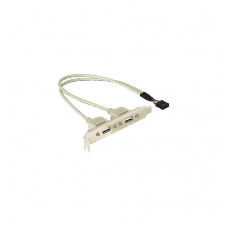 "Slotblech 2 x USB 2.0 Typ A Buchse extern"