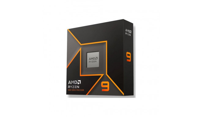 AMD Ryzen 9 9900X