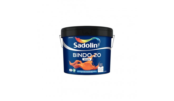 PAINT BINDO 20 BW 9L