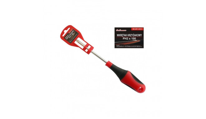Phillips screwdriver PH3x150mm