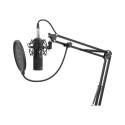 "microphone Genesis Radium 300XLR"